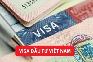 visa đầu tư